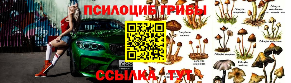 Фрязино  Псилоцибиновые грибы MAGIC MUSHROOMS  Вход с VPN 
