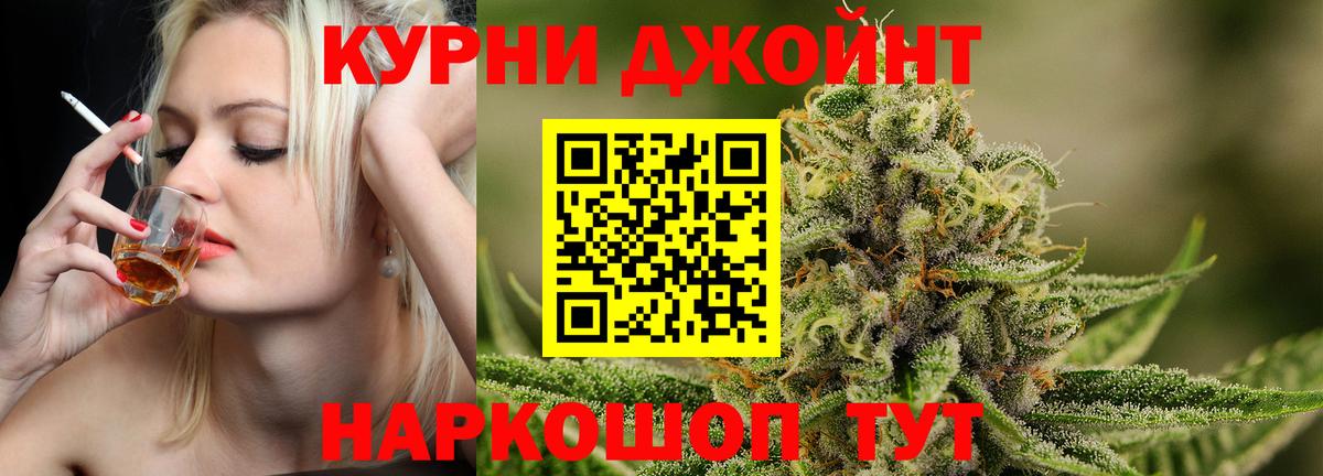 МАРИХУАНА сатива Фрязино